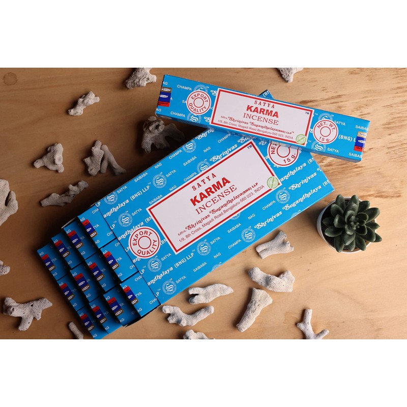 EARTH Satya Karma Incense Sticks 15 GMS (Pack of 12)