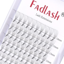 Fan Eyelashes, 6D Eyelashes, 0.05 mm Thick, D Curl, 8-14 mm Eyelash Extensions, Russian Volume Eyelashes, Prefabricated Fan, Premade Russian Lashes, Eyelash Extensions (6D-0.05D-MIX8-14)
