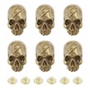 CHGCRAFT 6 Pcs Brass Conchos Skull Leather Craft Rivet Stud