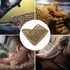 Reptile Lizard Bearded Dragon Hammock Lounger Grass Fibers Soft Reptile