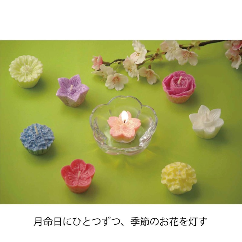 カメヤマ 花づくしギフトセット(植物性) 水に浮かぶキャンドル 季節のお花 植物原料使用