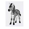 'Zebra Foal' Temporary Tattoo - Water Resistant, Skin-Safe, Non-Toxic Transfer
