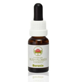 ABFE Boronia 15ml