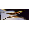 Musical Spoons Percussion Pro Instrument