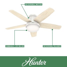 Hunter Fan 48 inch Low Profile Fresh White Indoor Ceiling Fan with Light Kit and with Remote Control (Renewed)