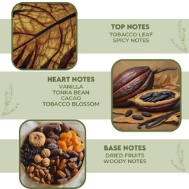 Devinez Tobacco Vanilla Fragrance Oil | 30ml | Perfect for DIY Candles, Aromatherapy & Diffusers (IFRA Certifed)