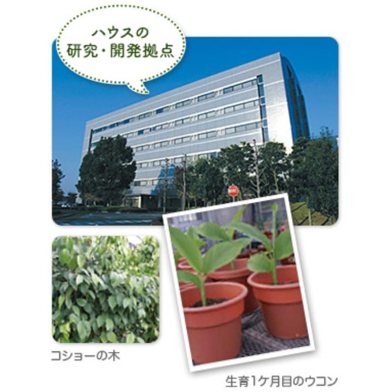 ハウスダイレクト 活性ウコン (90粒 / 30日分) 健康サポート 元気を支える (クルクミン 30mg配合 /