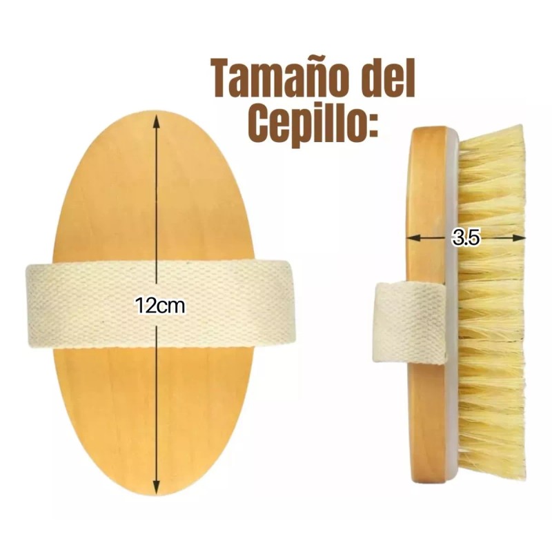 Mafab Set 1 Cepillo Facial 1 Cepillo Corporal Ovalado Exfoliante