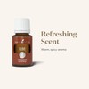 Thieves Spray - 1 oz by Young Living