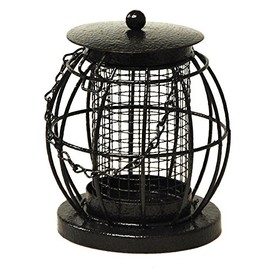 Kingfisher Mini Lantern Nut Feeder