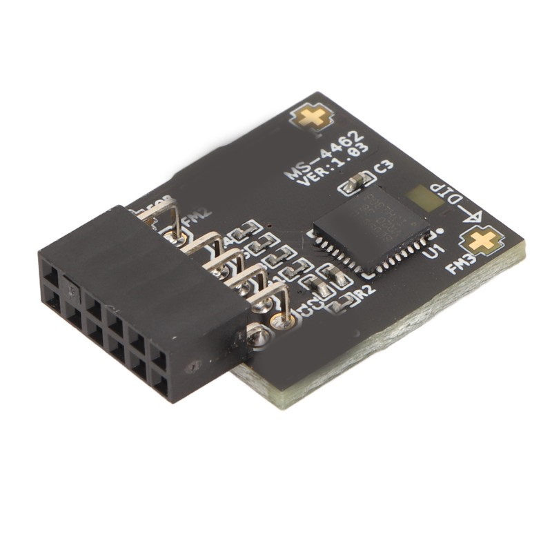 TPM2.0 Module TPM SPI 12Pin Module with SLB 9670 Standalone