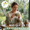 Xenivalle - Abedul Hojas Secas Natural para Té e Infusiones