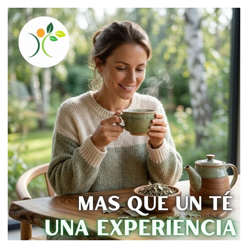 Xenivalle - Abedul Hojas Secas Natural para Té e Infusiones