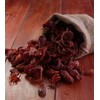 Trothic Spices Whole Javitri flower (Mace) Premium Aromatic Kerala Mace