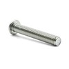 Hippo Hardware M6 (6mm X 65mm) TX Torx Socket Button