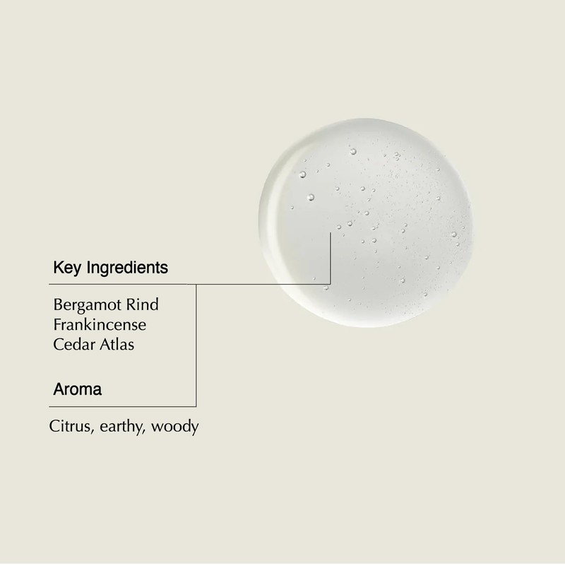 Aesop Shampoo & Conditioner Set | Hydrates, Softens, & Adds