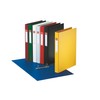 Esselte 2 Ring Binder, PP, Holds up to 190 Sheets,