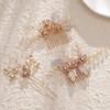 BERYUAN Wedding Rhinestone Hair Comb Set Pearls Flower Leaf Comb