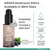 KAAPA MUSHROOMS - Chaga Mushroom Elixir - Potent Ultrasonic Extraction