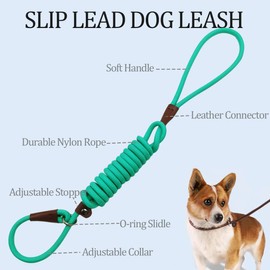 MayPaw Slip Lead Control Leash for Dogs No Pull, 13+ Colors Classic Dog Leash 7 FT Pet Slip Leash, 1/4” Rope Leash for Small Medium Animals (7ft*1/4", Turquoise)