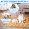 Rabbit-Scratching-Pad, Natural Wood Chew & Scratch Board for Bunnies, Bunny