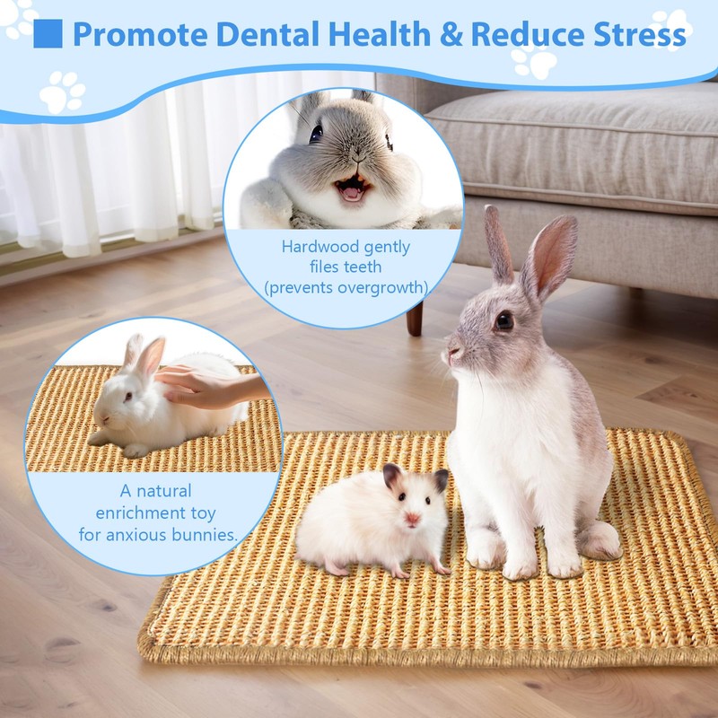 Rabbit-Scratching-Pad, Natural Wood Chew & Scratch Board for Bunnies, Bunny