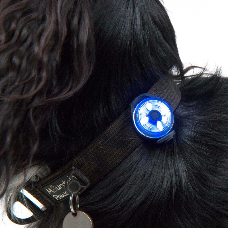 Mountain Paws Dog Collar Safety Light, 4 Colour Modes &