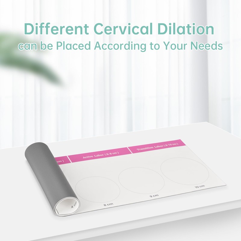 MedEduQuest Cervical Dilation Simulator with 0-10cm, Gynecological Examination Model, for