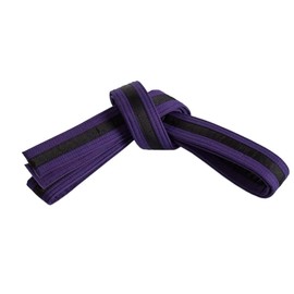 Mastery Leadership (purple belt/Black stripe, 3)