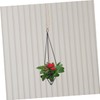 CAXUSD 2Pcs Iron Air Plant Holders Hanging Plant Shelves for