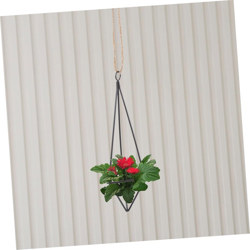 CAXUSD 2Pcs Iron Air Plant Holders Hanging Plant Shelves for