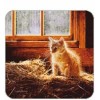 Legacy Cork Back Coaster-Cat Design-KITTEN IN HAY-Create Your Own Set!