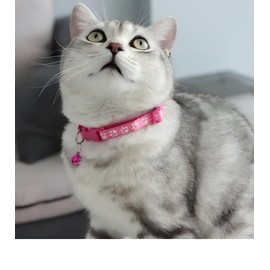 Cat Collar, Cat Collar with Bell, Flexible Material, Adjustable Length, (Pink)