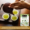 Tea4U Moringa Oleifera Flavored Energy Tea (Moringa Selection) - With