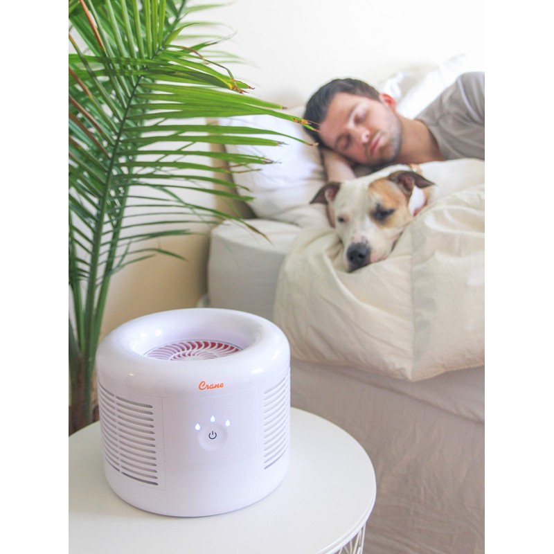 Crane Quiet HEPA Air Purifier for Home, Pets & Baby