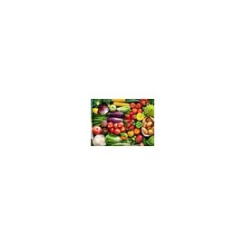 Kit 3 Pasta De Cría Con Verduras 500g Canary Alamazonas