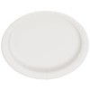 17.1 cm Party Plates