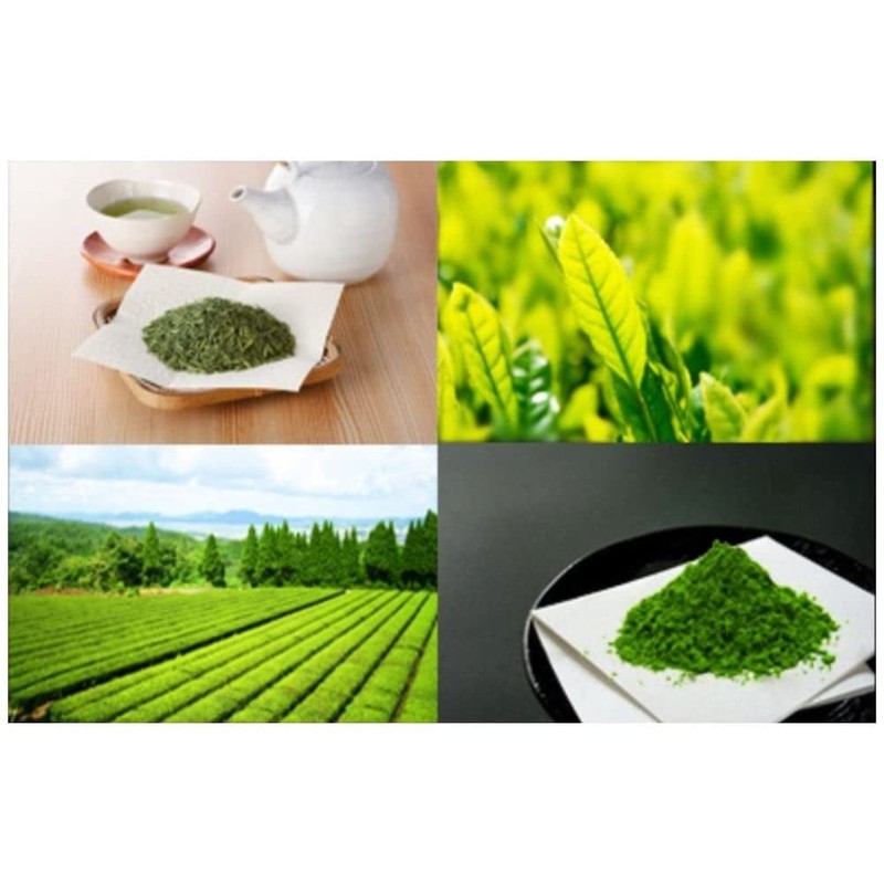 Tea Sandaiichi Yakumo Shiraori Silver Stamp for Hot Water Tea