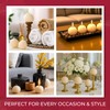 Biedermann & Sons 8-Hour Long Burning Unscented Round Ball Candles,