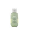 AVEDA PURE ABUNDANCE HAIR POTION .7 OZ