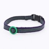 Cat Warrior Collar (Uses Sanada Cord) (Checkered/Green x Purple)
