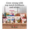 Burpee Organic Blood Meal Fertilizer | Add to Potting Soil