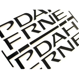 Generic Glossy Black ABS Plastic Lower Door Letter Inserts Compatible with Pathfinder 2022-UP ABS Plastic Emblem Not Decals