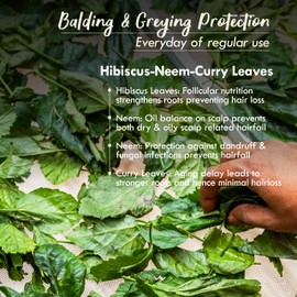 Nat Habit Men's 8 Herbs Hair Revital NutriMask - Hair Mask For Grey Hairs, Conditioning, Smoothening, Strengthen & Shine, Suitable For All Hair & Scalp Types (Pack of 2 x 40gm)