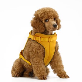 No Pull Lightweight Dog Harness: Adjustable Durable Breathable Mesh Pet Vest Harness with Soft and Comfortable Cushion, Easy to Clean, for Small Medium Large Dogs (S, Daylily Yellow)