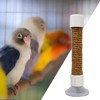 Window Perch for Birds | Parakeet Training Stand | Suction