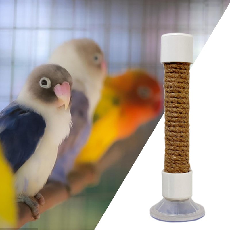 Window Perch for Birds | Parakeet Training Stand | Suction
