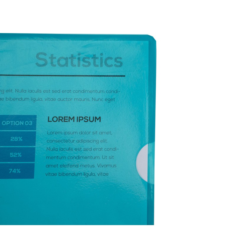 Exacompta - Ref 660500E - PVC Cut Flush Folder -