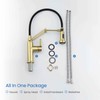 KIBI Engel Single Handle Pull Down Faucet for Kitchen Sink