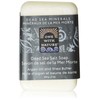 One With Nature Dead Sea Mineral Salt Soap, 7 Oz